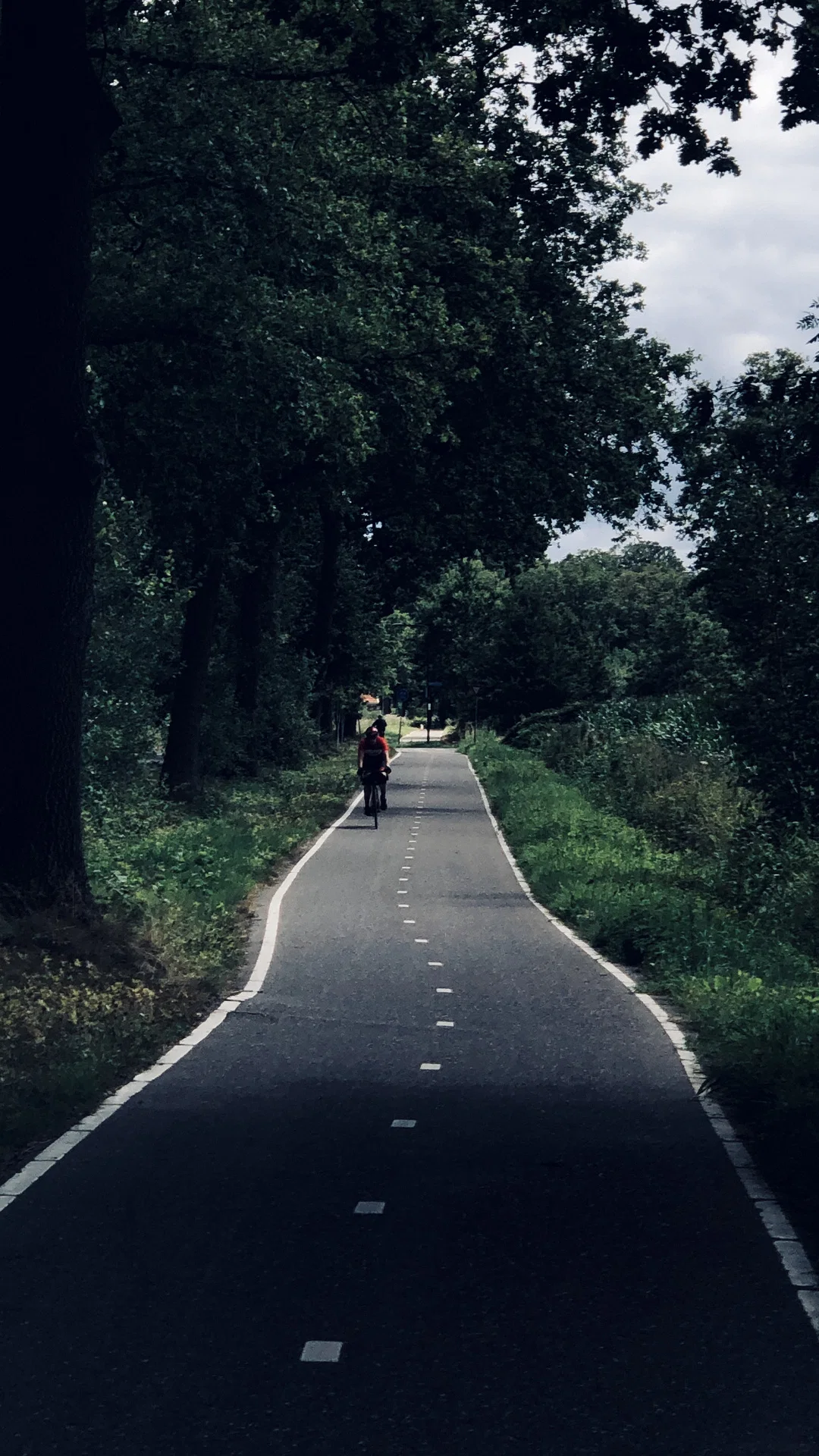 Path