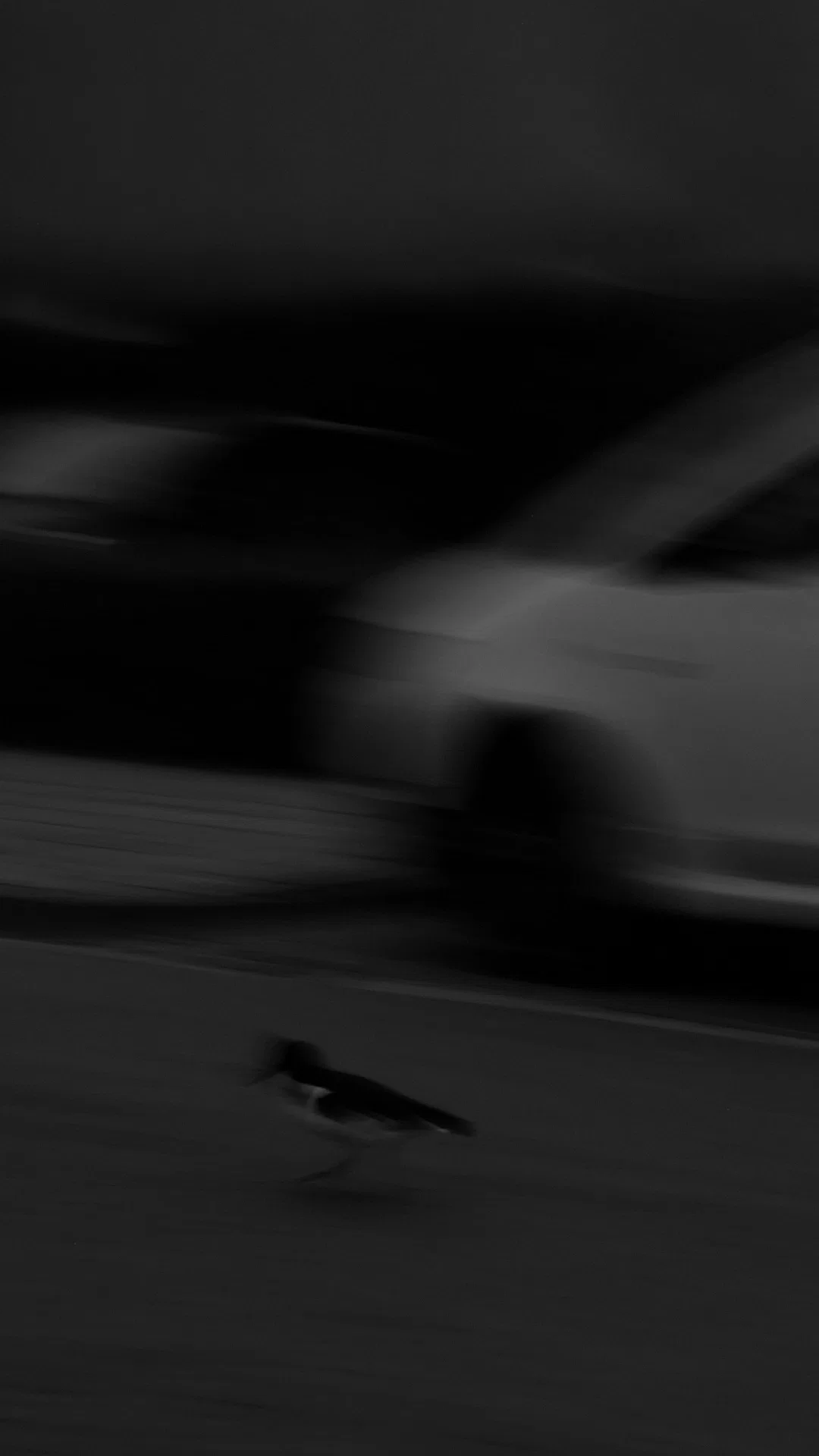 Motion