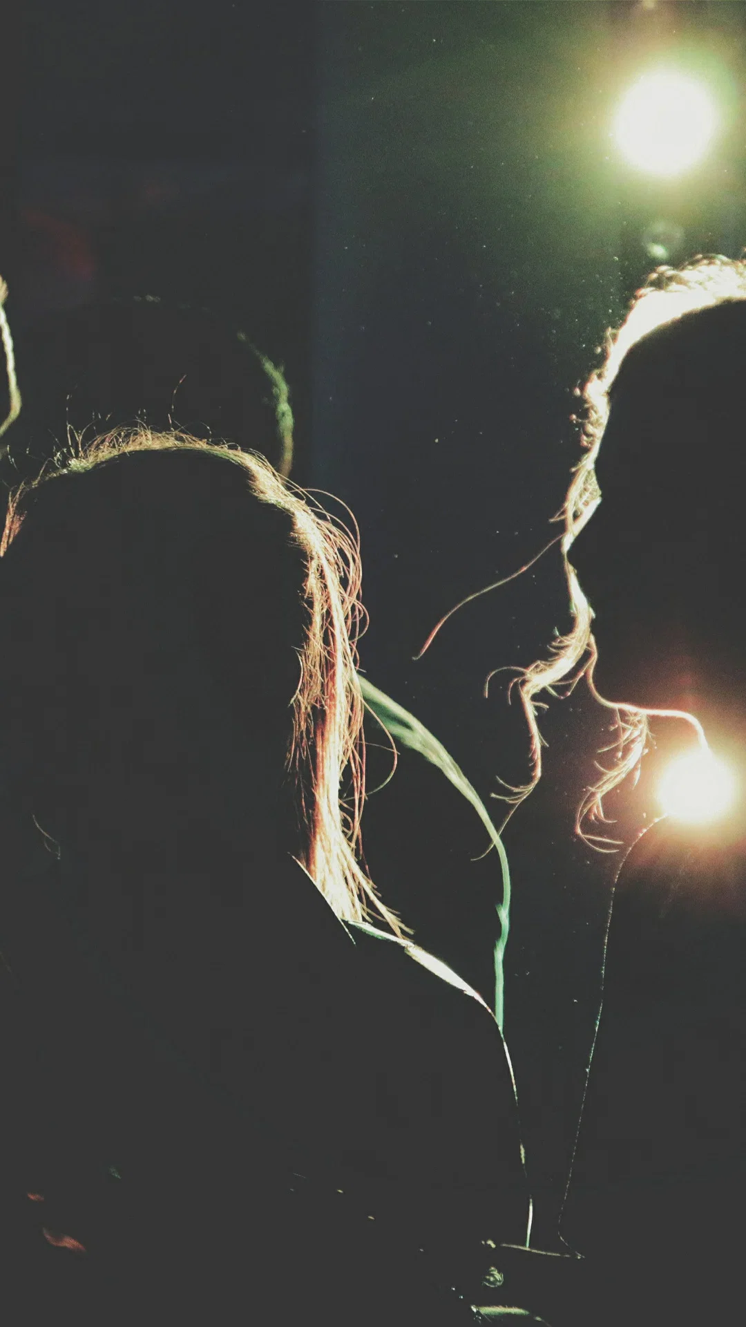 Backlight