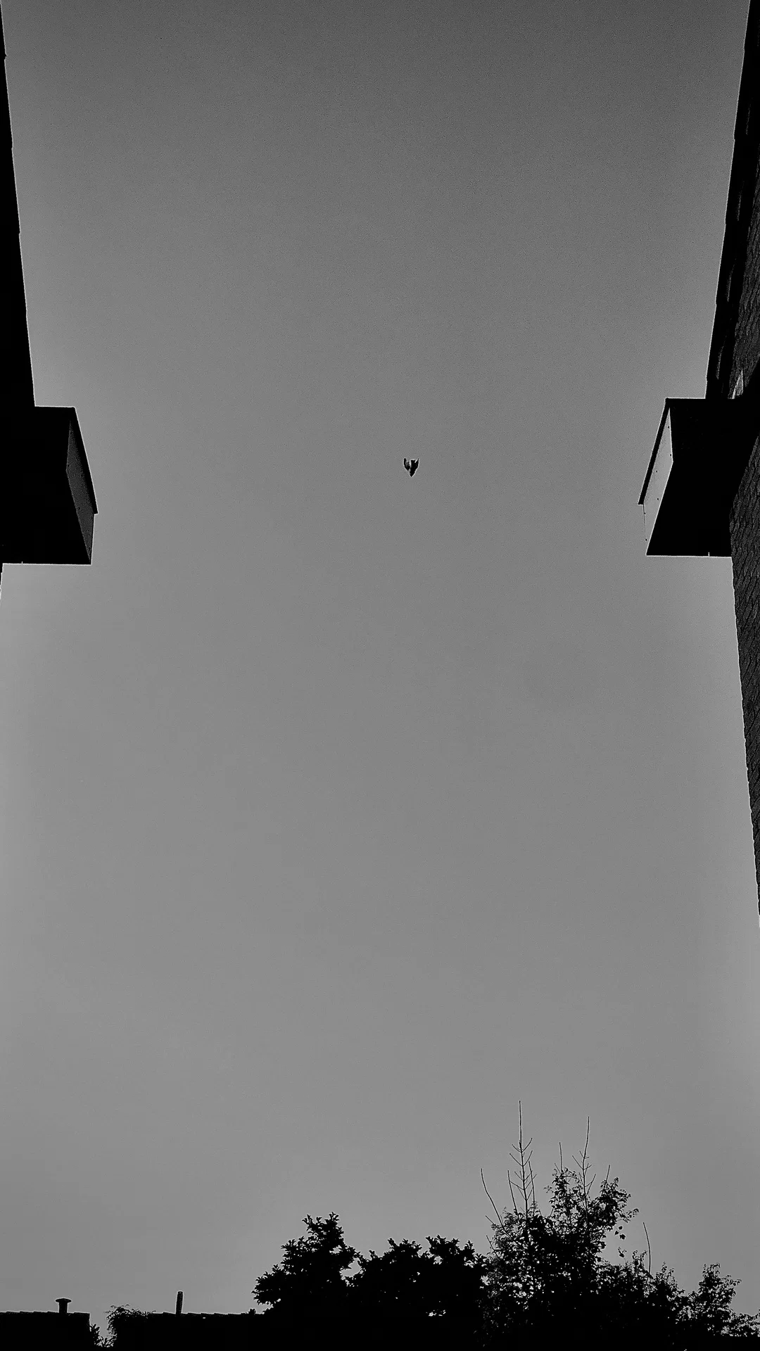 Negative space