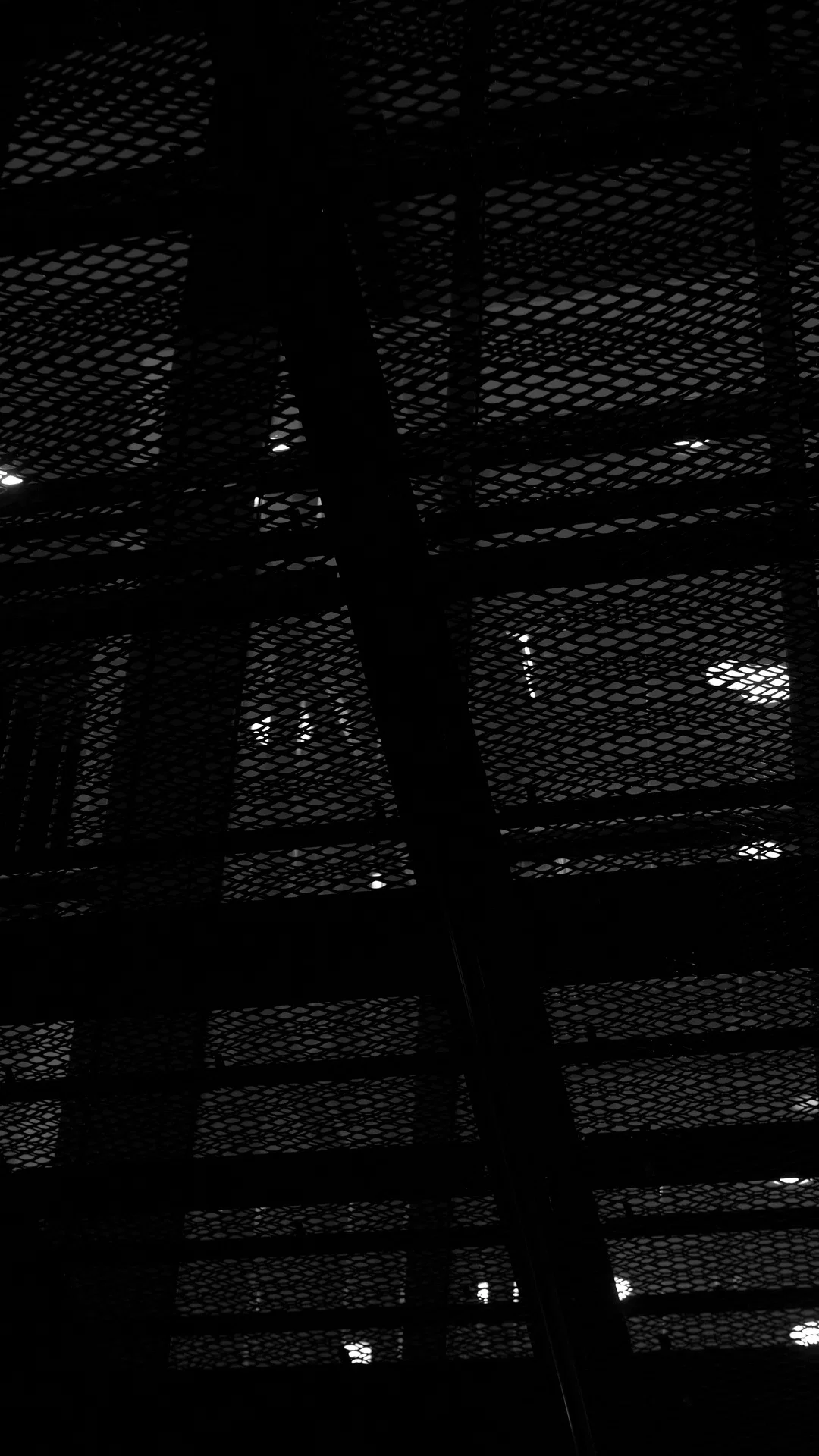 Mesh / light